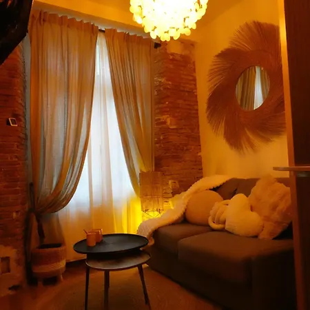 Le Petit De Laura Cosy Parking & Netflix Toulouse