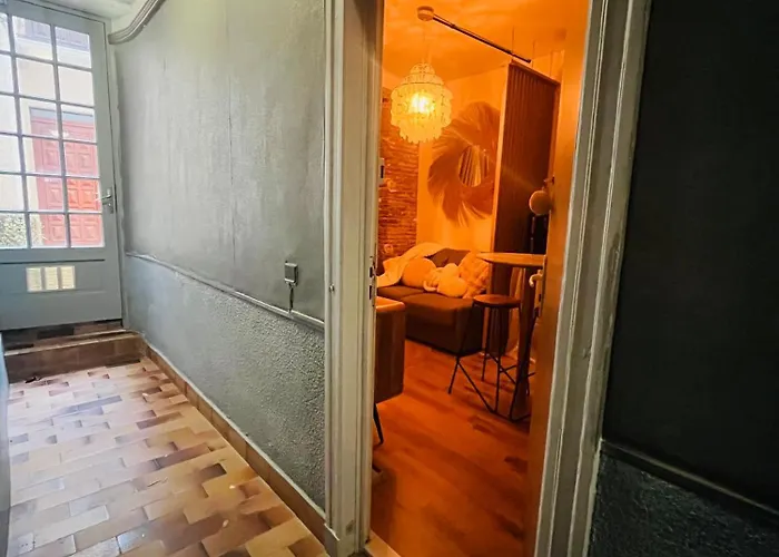 Apartman Le Petit De Laura Cosy Parking & Netflix Toulouse