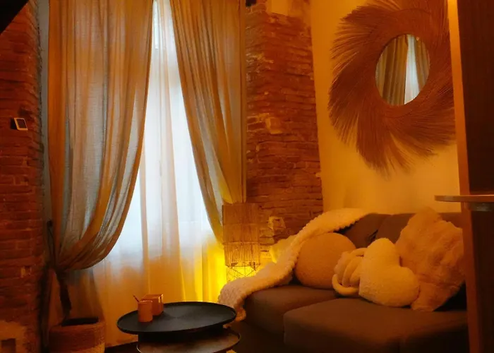 Le Petit De Laura Cosy Parking & Netflix Toulouse