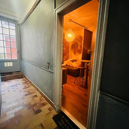 Apartment Cosy En Hypercentre - Parking Toulouse
